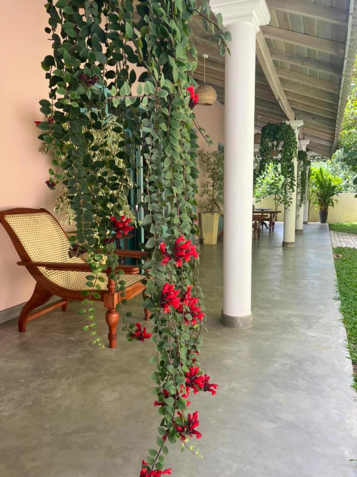 Villa Ronaya Surf Waves Dikwella Sur Exterior foto