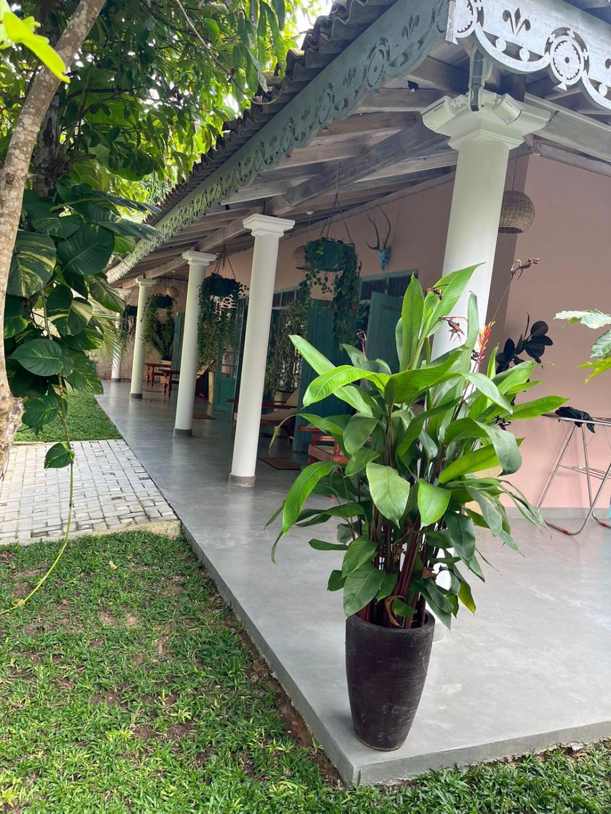 Villa Ronaya Surf Waves Dikwella Sur Exterior foto